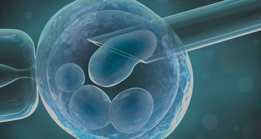 Спермограмма – сдать анализы в Санкт-Петербурге, цены в медицинской лаборатории Хеликс